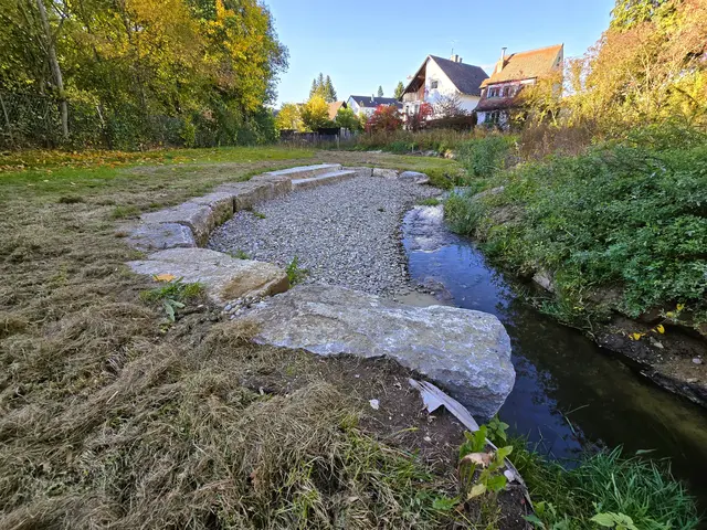 Ein Blick auf Teile der Renaturierungsmaßnahmen | Foto: Stadt Roth