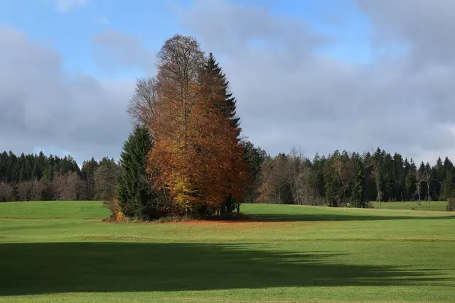Der Herbst bringt für die Menschen in Bayern die nächsten Tage milde Temperaturen. (Archivbild) | Foto: Karl-Josef Hildenbrand/dpa