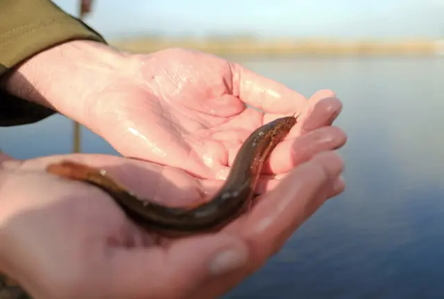 Foto: © Markus Hibbeler/dpa