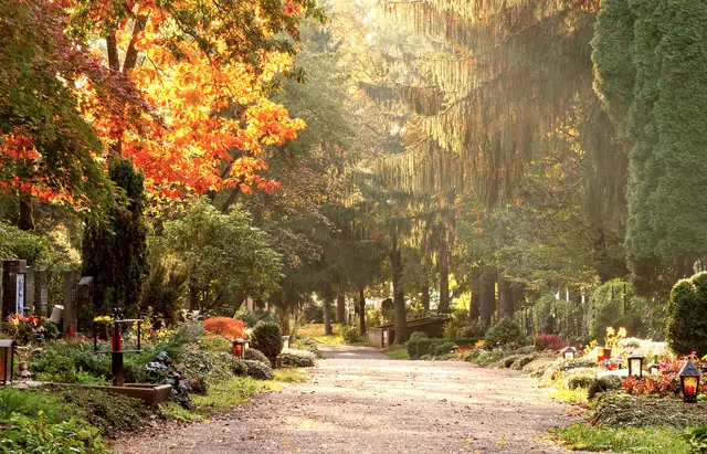 (Symbolbild) | Foto: © stockpics/AdobeStock