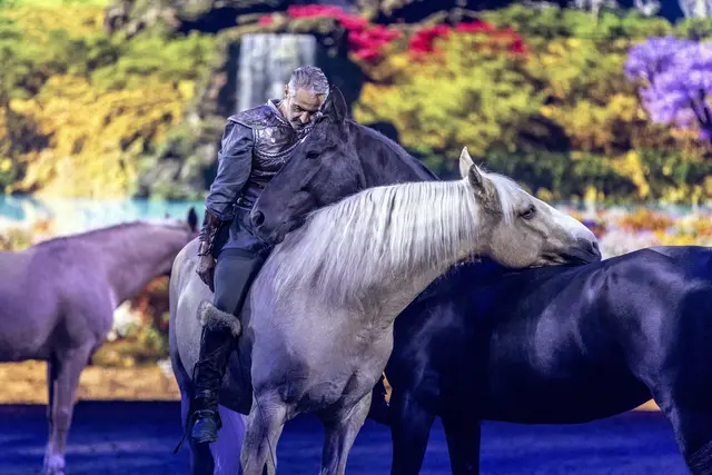 Harmonie zwischen Mensch und Pferd.  | Foto: © Cavalluna