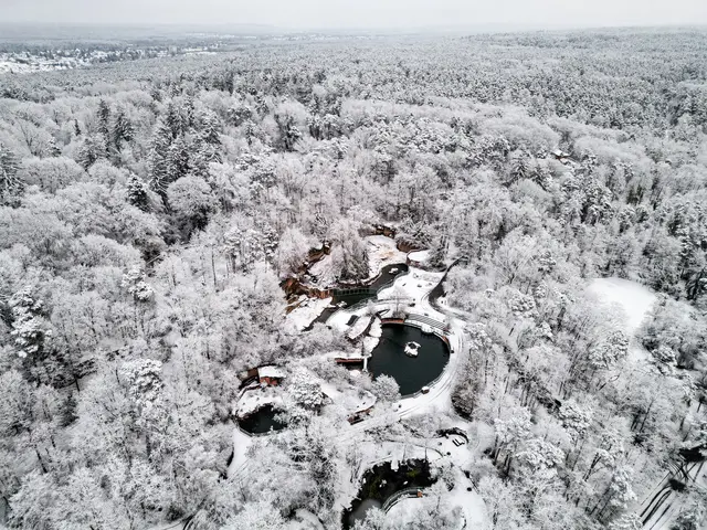 Winter im Tiergarten: An drei Adventswochenenden erwartet Besucherinnen und Besucher ein stimmungsvolles Programm mit besonderen Führungen und Mitmachaktionen für die ganze Familie. | Foto: Thomas Hahn / Tiergarten Stadt Nürnberg