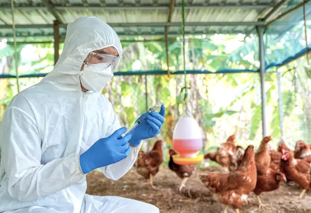 (Symbolbild) | Foto: © PordeeStudio/AdobeStock