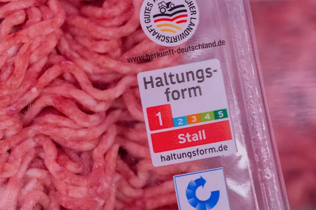 Das neue Logo soll im Supermarkt zeigen, wie die Tiere gehalten wurden. | Foto: Rolf Vennenbernd/dpa (Symbolbild)