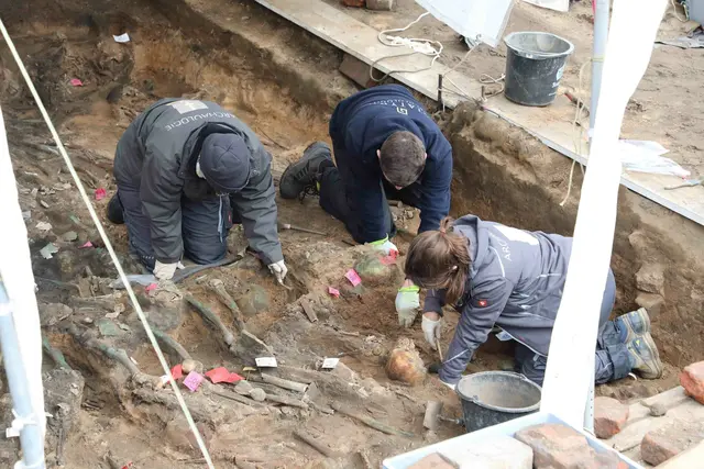 Einblicke in das Grabfeld 3, insgesamt handelt es sich
um 8 Gräberfelder. Bisher konnten 500 Tote gefunden werden. Bis zu 1.500 Pesttote wurden wahrscheinlich hier begraben.  | Foto: Udo Dreier