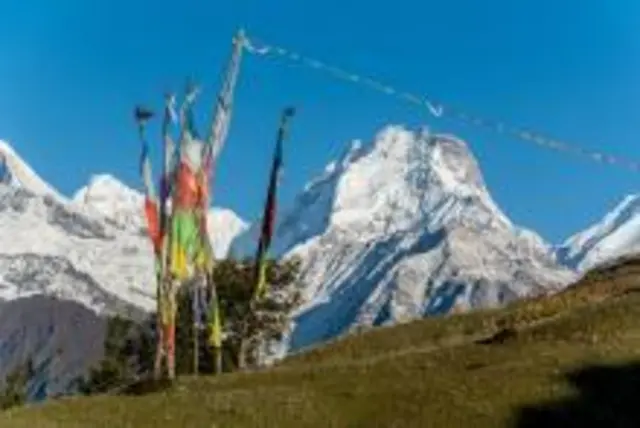 Foto: Klaus Fleischmann