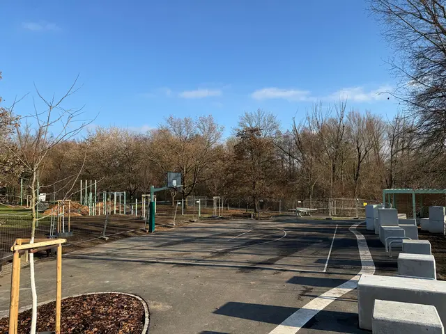 Teileröffnung der Jugendaktionsfläche am Oberen Wöhrder See: Die neue Streetball-Anlage, eine Tischtennisplatte, eine Mehrzwecküberdachung und unterschiedliche Parkour-Elemente sind bereits fertiggestellt und nun öffentlich nutzbar. | Foto: Kathrin Lehnerer / Stadt Nürnberg