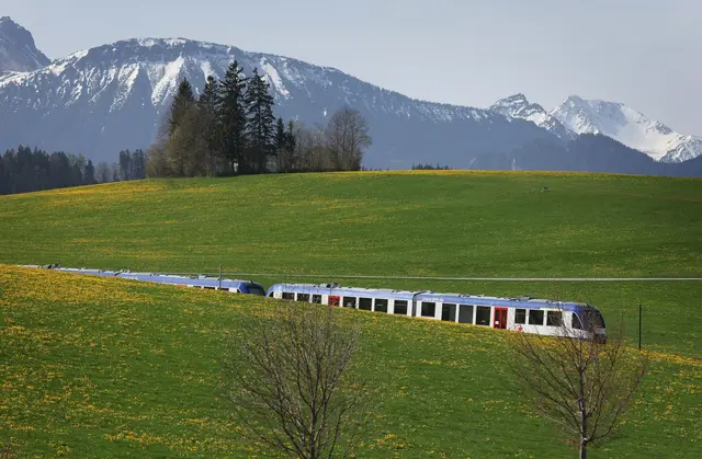 Regionalzüge übernehmen auch in Bayern eine immens wichtige Aufgabe im Bahnnetz.  | Foto: Karl-Josef Hildenbrand/dpa (Symbolbild)