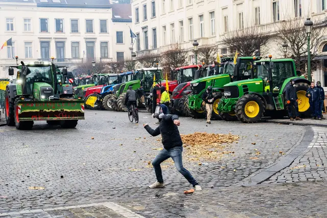 Wut der Landwirte gegen Entscheidungen des Europaparlaments.  | Foto: Marius Burgelman/AP/dpa
