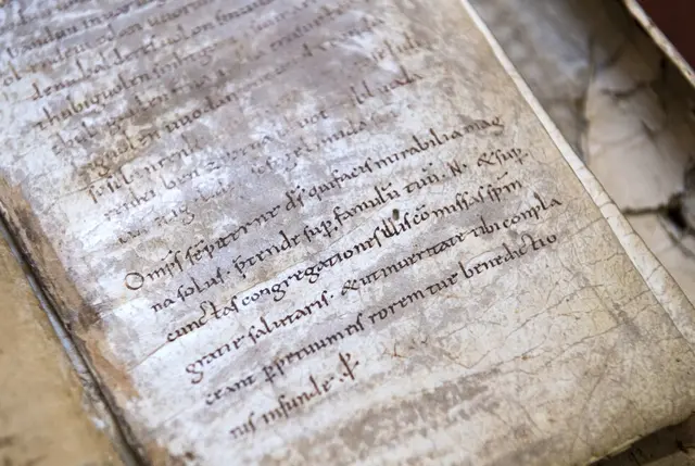 (Symbolbild) | Foto: © Hendrik Schmidt/dpa-Zentralbild/ZB