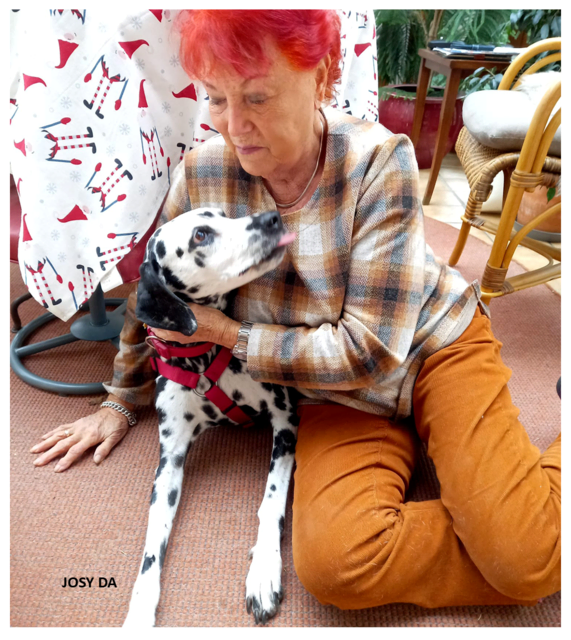 Josy | Foto: Tierhilfe Franken