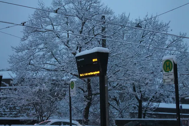 Foto: Victor Schlampp