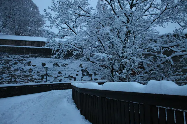 Foto: Victor Schlampp