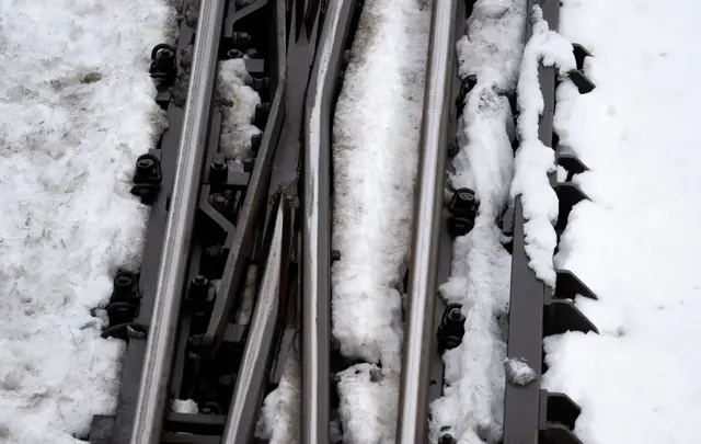 Wegen der hohen Schneelast sind nach Angaben der Bahn im Raum Nürnberg mehrere Bäume auf Gleise gestürzt. (Symbolbild) | Foto: Sven Hoppe/dpa