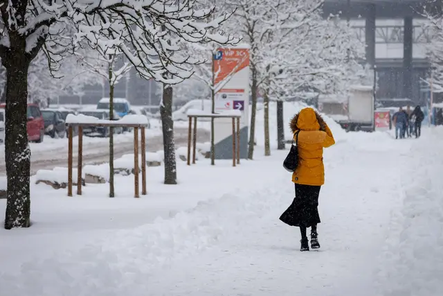 In Nürnberg hat sich viel Schnee auf den Ästen der Bäume gesammelt. Deshalb bleiben zwei große Friedhöfe vorsichtshalber geschlossen. (Symbolbild) | Foto: Daniel Karmann/dpa