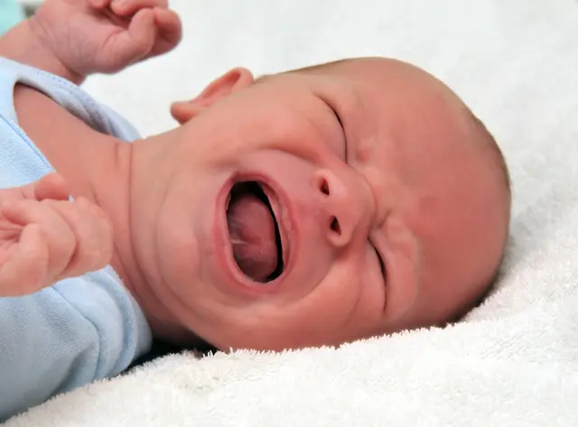 Ein Baby schreit, weil es Schmerzen hat. Der kleine Magen reagiert häufig besonders sensibel auf verunreinigte Nahrung. | Foto:  Ilka Burckhardt-stock.adobe.com (Symbolbild)