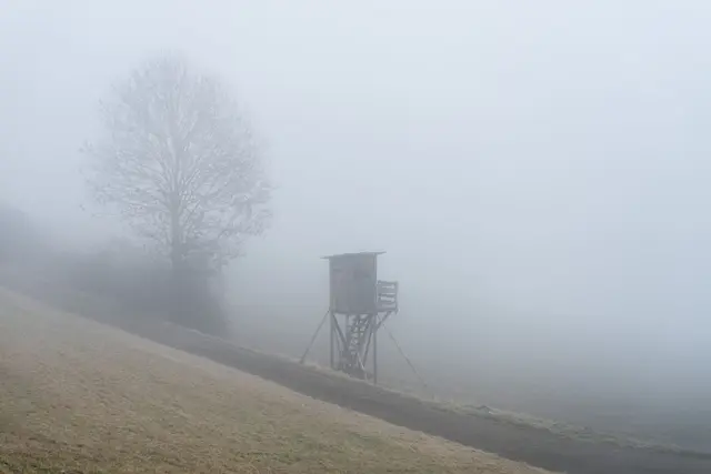 In vielen Teilen Bayerns wird Nebel erwartet. | Foto: Silas Stein/dpa