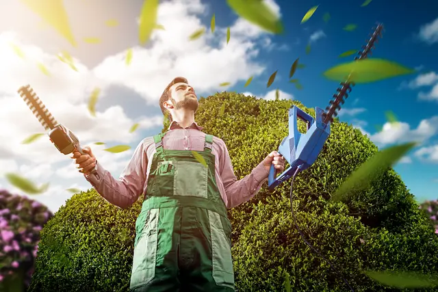 Jetzt ist die richtige Zeit für Pflanzenrückschnitt. | Foto: lassedesignen/stock.adobe.com