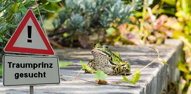 Manch ein Online-Verehrer entpuppt sich vor allem als finanzieller Reinfall.  | Foto:  © pusteflower9024/stock.adobe.com/Symbolbild