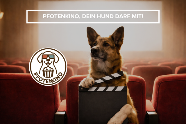 Pfotenkino im Cineplex Fürth am 02. März (19.30 Uhr). | Foto: Cineplex Fürth