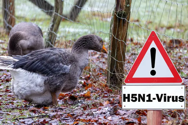 Foto:  © Karina/stock.adobe.com/Symbolbild