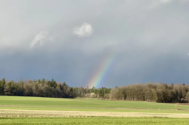 Der  Frühling kommt! | Foto: Nicole Fuchsbauer