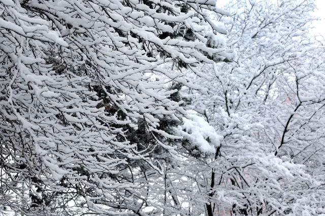 Kurz vor dem ersten Osterferien-Wochenende kam noch einmal der Schnee nach Bayern zurück. | Foto: Karl-Josef Hildenbrand/dpa