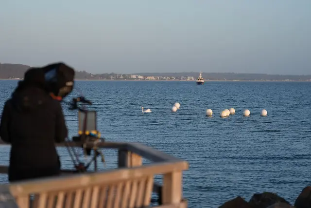 Das Tier ist an der Ostseeküste vor Timmendorfer Strand nicht mehr zu sehen. | Foto: Marcus Brandt/dpa