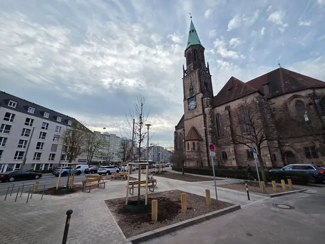 Eine von vielen Baumpflanzungen in diesem Jahr, hier in der Nürnberger Kirchenstraße. | Foto: Steffen Stritt / Stadt Nürnberg