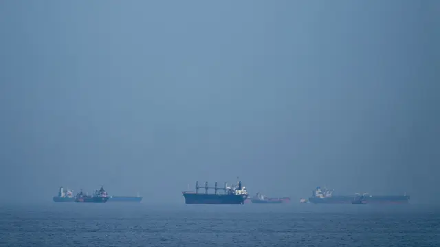 Über die Seerouten um den Iran werden viele Rohstoffe verschifft. (Symbolbild) | Foto: Altaf Qadri/AP/dpa