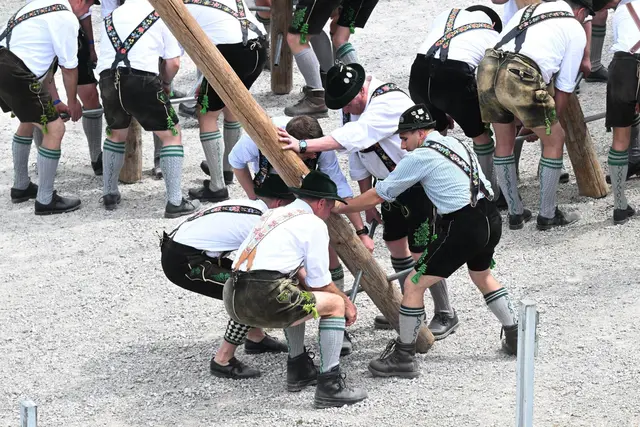 Zum 1. Mai werden wieder überall in Bayern Maibäume aufgestellt. (Archivbild) | Foto: Felix Hörhager/dpa