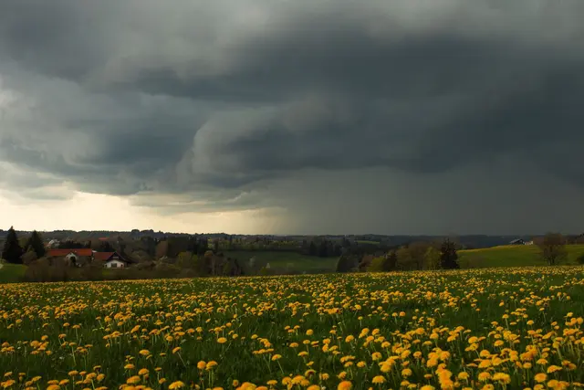 Aprilwetter in Bayern: Blühende Wiesen, Gewitter - aber auch nochmal Frost. | Foto: Alexander Wolf/onw-images/dpa