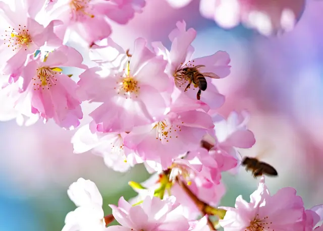 Tagsüber soll das Thermometer auf bis zu 21 Grad steigen. (Archivbild) | Foto: Malin Wunderlich/dpa