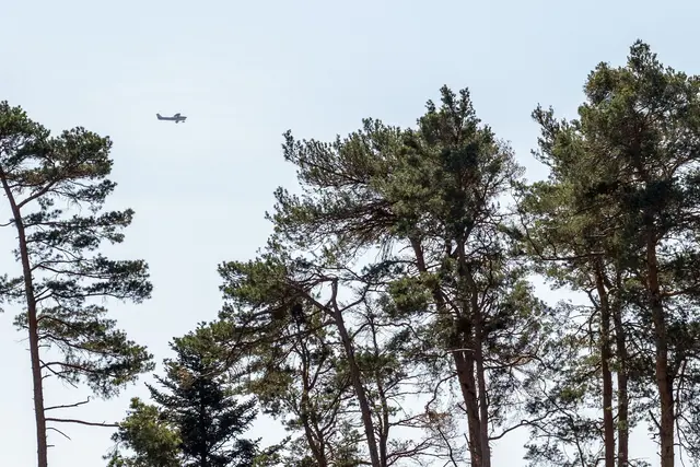 Aufgrund erhöhter Waldbrandgefahr plant die Niederbayerische Regierung in dieser Woche sechs Flüge zur Luftbeobachtung. (Symbolbild) | Foto: Pia Bayer/dpa