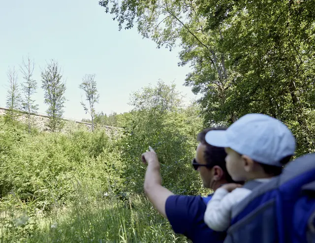 Dampflok-Abenteuer, Höhlen-Erlebnis, Felsen-Kraxeln, Piraten-Action, Dino-Schau oder Eiszeit-Expedition: In diesem Frühjahr bringt der Verkehrsverbund Großraum Nürnberg (VGN) Familien auf Abenteuer-Tour.
Sieben abwechslungsreiche Ausflüge für Kind und Kegel sind das Herzstück der neuen Broschüre VGN-Familienexpedition. Diese stellt ausgesuchte Wanderungen und Erlebnisorte vor, die speziell auf die Bedürfnisse von Familien ausgerichtet sind. Die Ziele sind so ausgewählt, dass sie ohne viele Umstiege per Bus und Bahn erreichbar sind.
  | Foto: © VGN/Gaspar-Klein