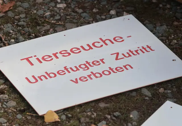 Foto: © Matthias Bein/dpa (Symbolbild)