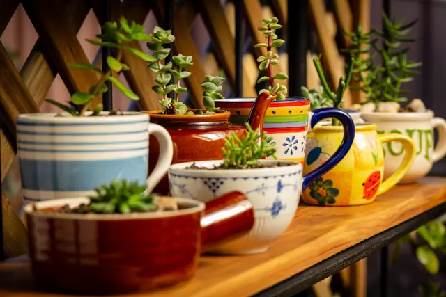 Foto: © HollyHarry/stock.adobe.com/Symbolbid