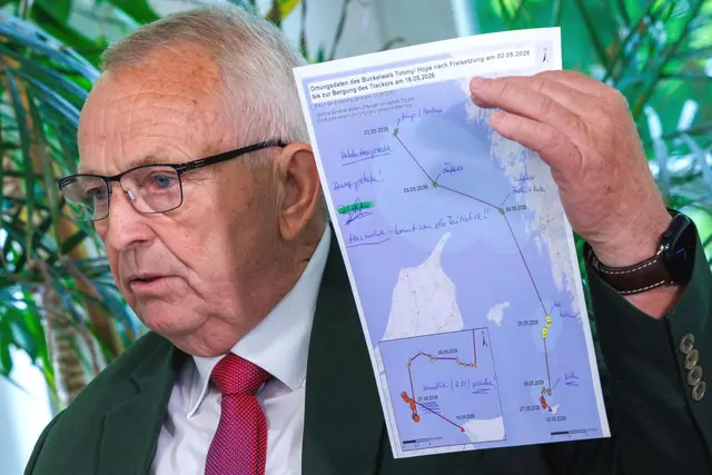 Er hat die Chance nicht nutzen können, sagte Backhaus bei der Präsentation von Trackerdaten über den Buckelwal.  | Foto: Jens Büttner/dpa