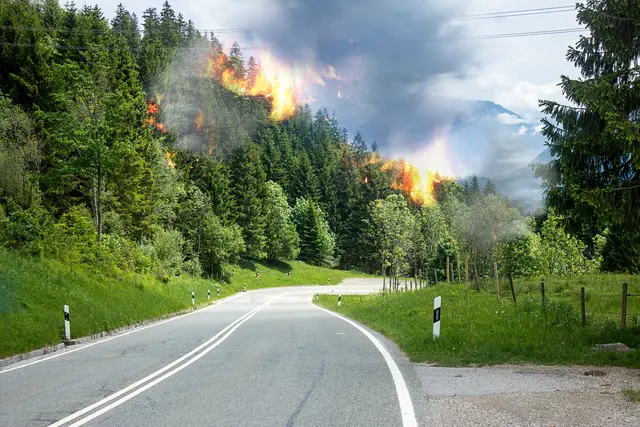 Mit der extremen Hitze der letzten Tage steigt in fast ganz Bayern die Waldbrandgefahr. | Foto: Butch-stock.adobe.com (Symbolbild)
