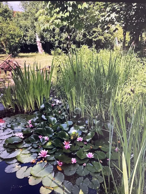 Der Garten der Familie Heß. | Foto: Fam. Heß
