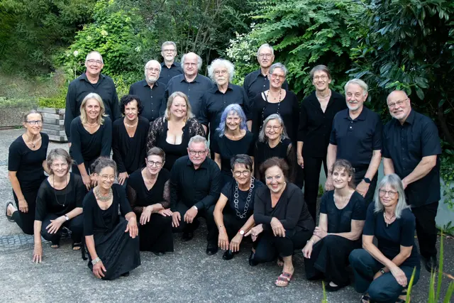 Der Kammerchor Franconia Vocalis | Foto: Franconia Vocalis