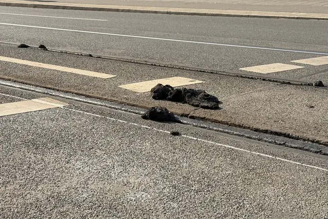 In der Hitze ist Bitumen weich geworden und klebt wie zähes Kaugummi an Schienen und Rädern der Straßenbahnen (Archivbild) | Foto: Irena Güttel/dpa