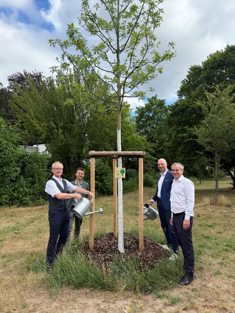 Mathias Monse (1. Vorsitzender Bürger- und Geschichtsverein Mögeldorf e. V.), Sör-Stadtbaummanager Florian Demling, Bürgermeister und Erster Sör-Werkleiter Andreas Krieglstein sowie Dr. Alexander Hagen (2. Vorsitzender Bürger- und Geschichtsverein Mögeldorf ) übergeben den Spendenbaum der Öffentlichkeit (v.l.).  | Foto: Kathrin Lehnerer / Stadt Nürnberg