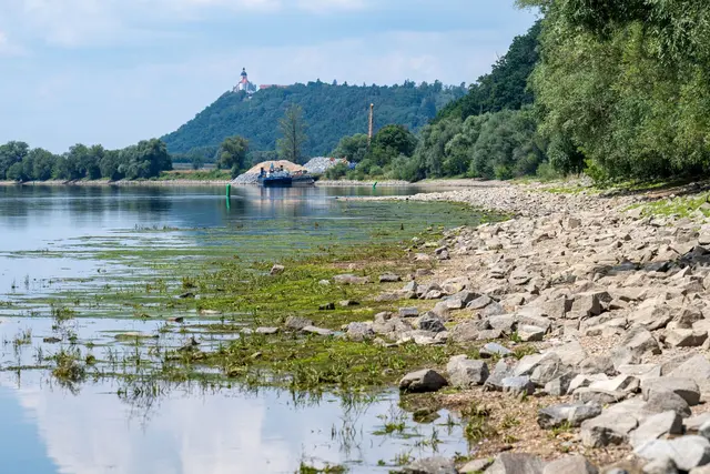 Regenmangel macht sich am Donauufer bemerkbar. | Foto: Armin Weigel/dpa