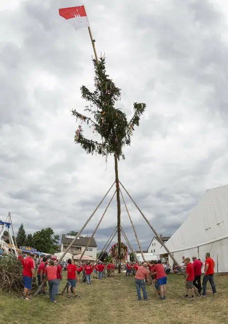 Das Baumaufstellen ist wieder das Highlight der Kärwa. | Foto: Privat/oh/Archiv