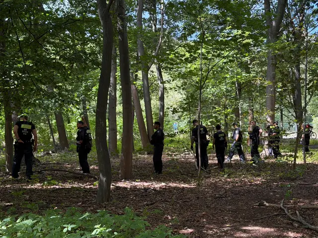 Im Berliner Tiergarten suchen Polizisten offenbar weitere Beweismittel zum Terroranschlag vom vergangenen Samstag. | Foto: Sven Kaeuler/dpa