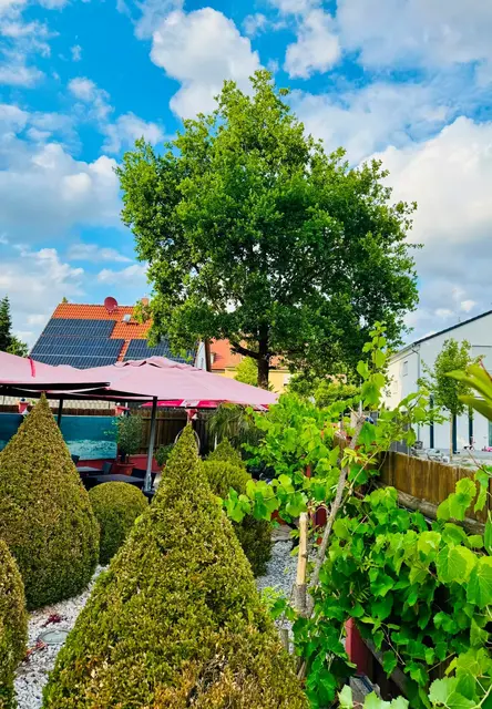 Um diesen Baum im Hof des bekannten Restaurants „LaCultura“ und die Photovoltaik-Anlage auf dem Dach des Nachbarhauses dahinter dreht sich der Streit in Gebersdorf. | Foto: Privat
