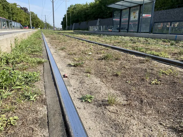 Die letzten sehr heißen Sommertage haben die Schienen gut überstanden. Von der VAG wurden die Schienen mit Wasser gekühlt.  | Foto: Nicole Fuchsbauer