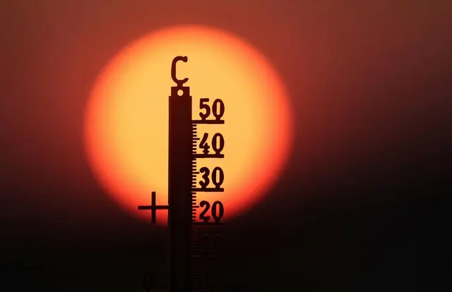 Foto: © Thomas Warnack/dpa (Symbolbild)