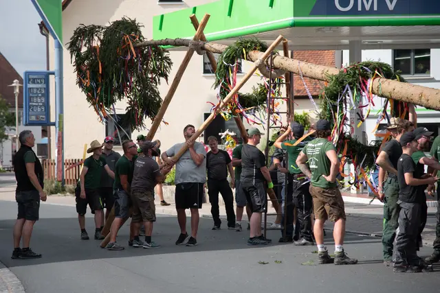 Am Samstag, 22. August, wird der Kerwabaum wieder ohne maschinelle Hilfsmittel aufgestellt. | Foto: Nadine Zahner